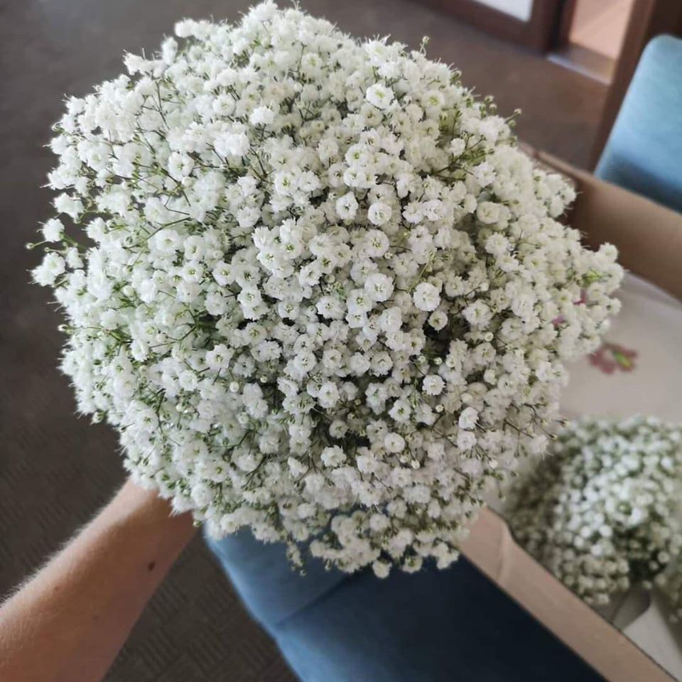 gypsophelia wedding bouquet