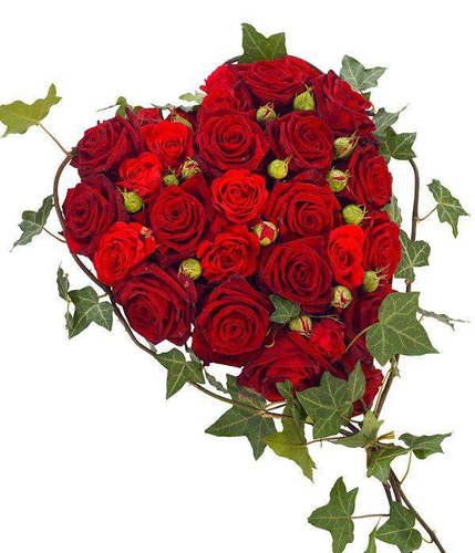 Red Rose Heart Floral Tribute best red rose and rose buds with ivy beautifully arranged by florist by Inspired Flowers