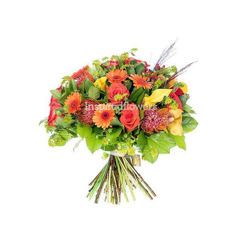 Colour Burst Floral Hand-tied Bouquet fresh mix of flowers in orange purple and lime by Inspired Flowers